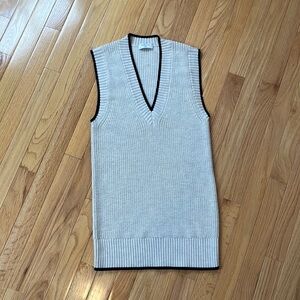 Aritzia Babaton sweater tunic